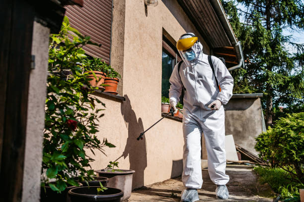 Best Pest Removal Services  in Mundelein, IL