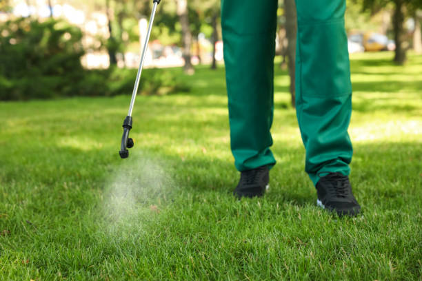 Best Wildlife Control Services  in Mundelein, IL