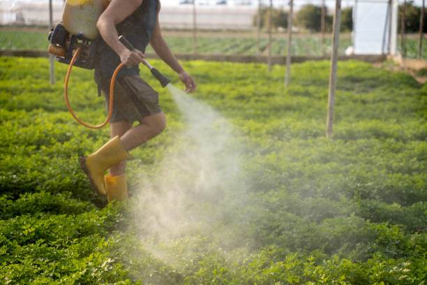 Pest Prevention Services in Mundelein, IL
