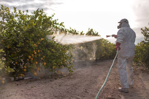 Best Local Pest Control Services  in Mundelein, IL