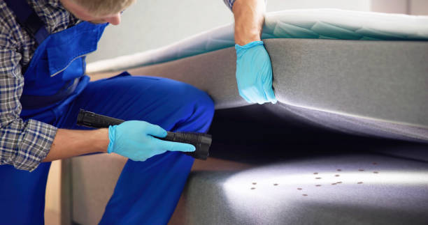 Best Pest Inspection Near Me  in Mundelein, IL