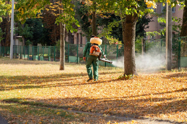 Flea Control Services in Mundelein, IL
