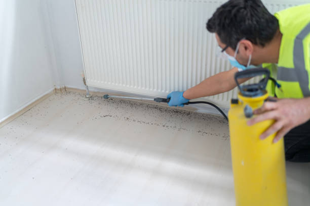 Best Pest Control Near Me in Mundelein, IL